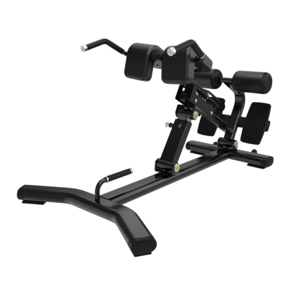 Розгинання спини Generation Fitness Back Extension GFH45